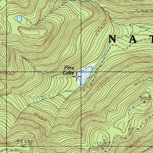 Topographic Map of Pine Lake, WA
