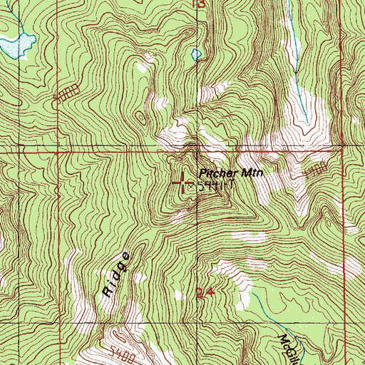 Topographic Map of Pitcher Mountain, WA