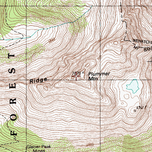 Topographic Map of Plummer Mountain, WA