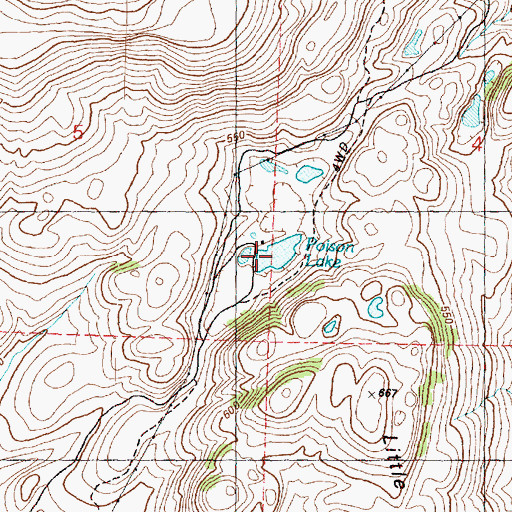 Topographic Map of Poison Lake, WA