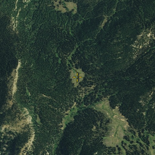 Aerial/Satellite Image of Pond Meadow, WA