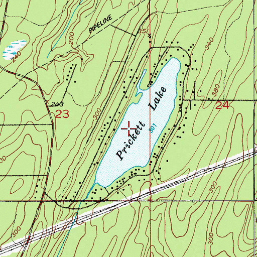 Topographic Map of Prickett Lake, WA