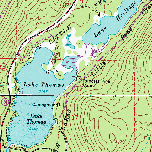Topographic Map of Princess Pine Camp, WA