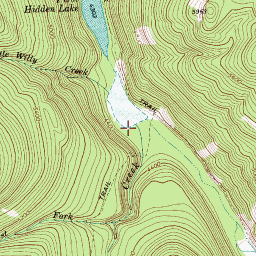 Topographic Map of Ptarmigan Creek, WA