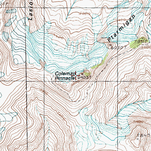 Topographic Map of Ptarmigan Ridge, WA