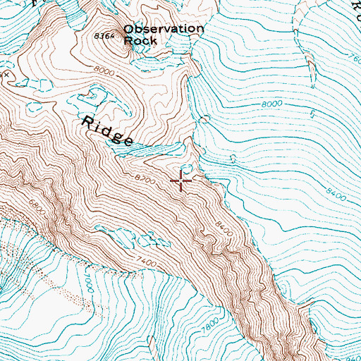 Topographic Map of Ptarmigan Ridge, WA