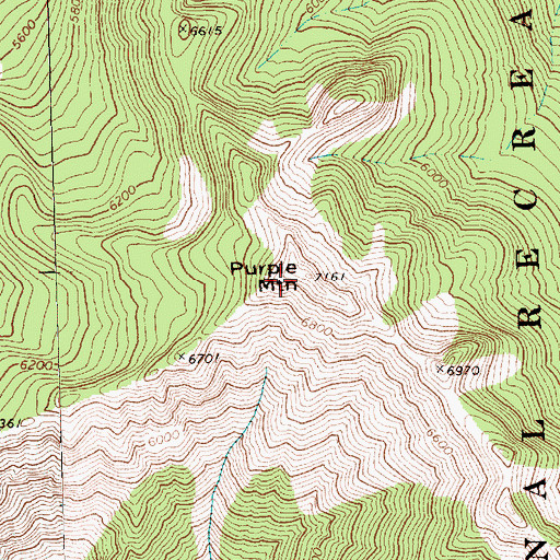 Topographic Map of Purple Mountain, WA