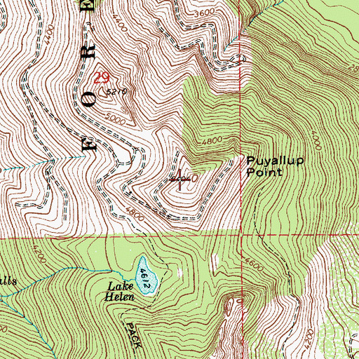 Topographic Map of Puyallup Point, WA