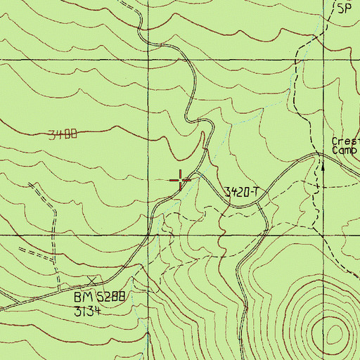 Topographic Map of Racetrack Forest Camp, WA