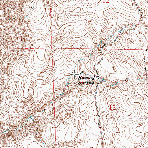 Topographic Map of Rainey Spring, WA
