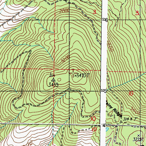 Topographic Map of Rainy Ridge, WA