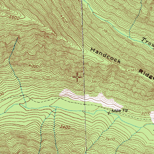 Topographic Map of Rattlesnake Creek, WA