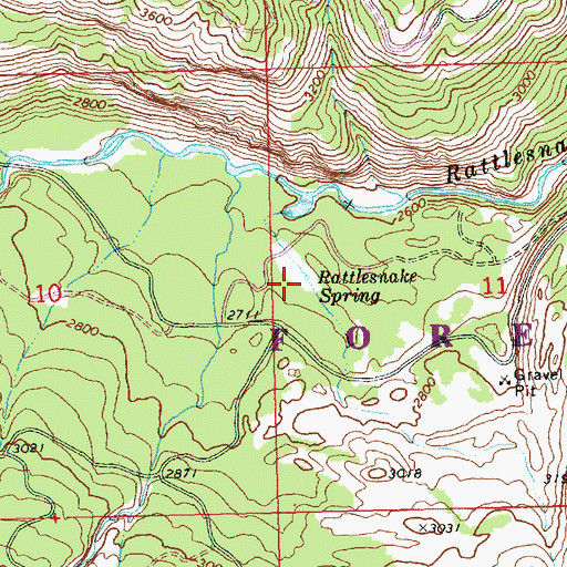 Topographic Map of Rattlesnake Spring, WA