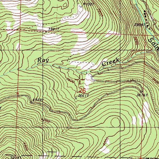 Topographic Map of Ray Cabin (historical), WA