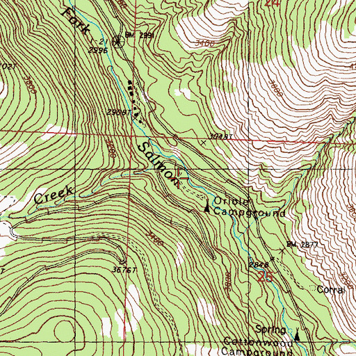 Topographic Map of Ray Creek, WA