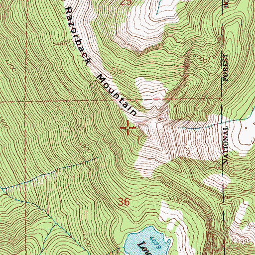 Topographic Map of Razorback Mountain, WA