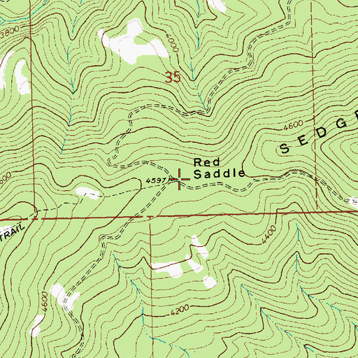 Topographic Map of Red Saddle, WA