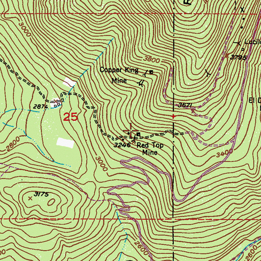 Topographic Map of Red Top Mine, WA
