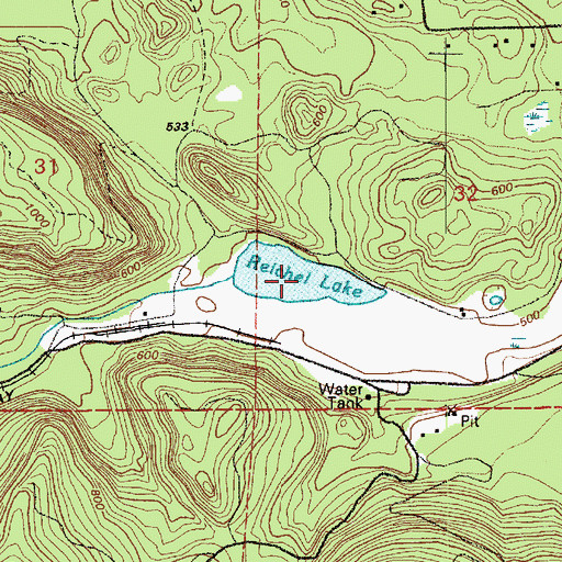 Topographic Map of Reichel Lake, WA
