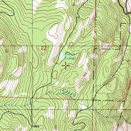 Topographic Map of Renn Lake, WA