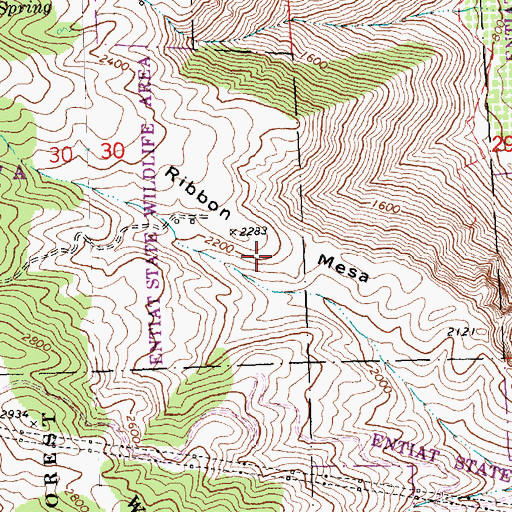 Topographic Map of Ribbon Mesa, WA