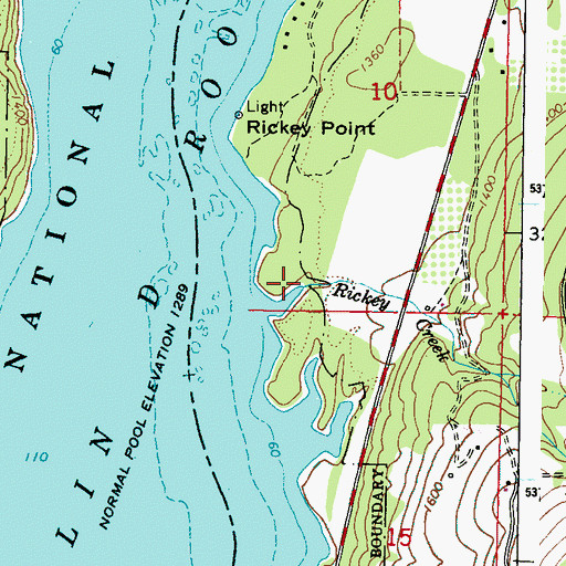 Topographic Map of Rickey Creek, WA