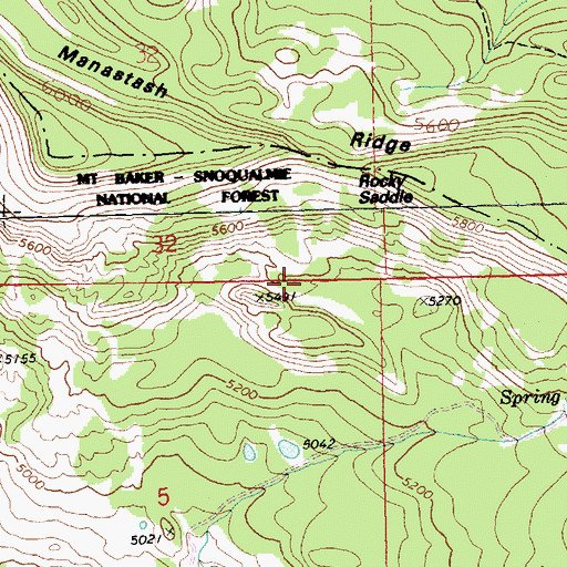 Topographic Map of Rocky Saddle, WA