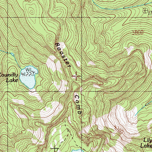 Topographic Map of Rooster Comb, WA