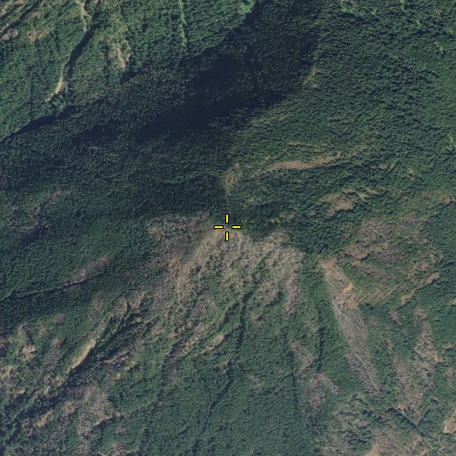 Aerial/Satellite Image of Mount Rose, WA