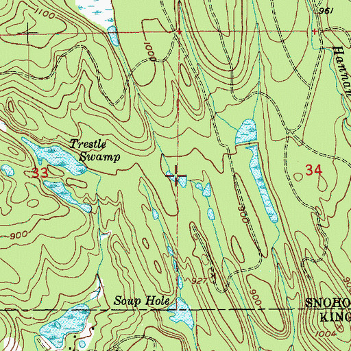 Topographic Map of Roths Swamp, WA