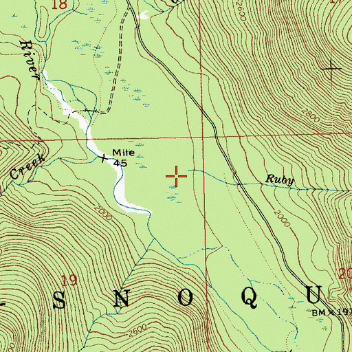Topographic Map of Ruby Creek, WA