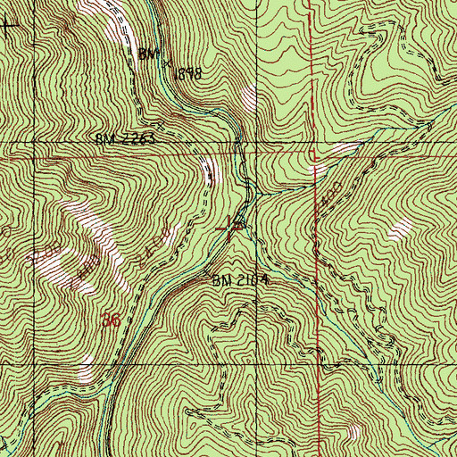 Topographic Map of Ruby Creek, WA