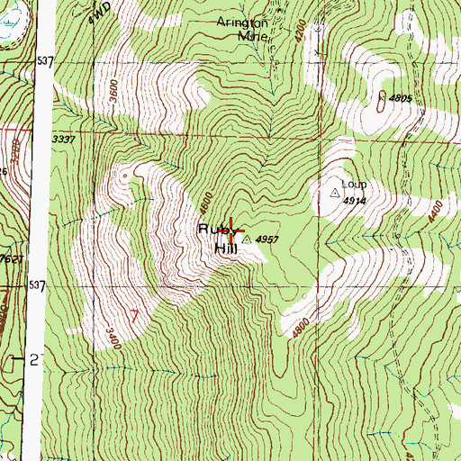 Topographic Map of Ruby Hill, WA