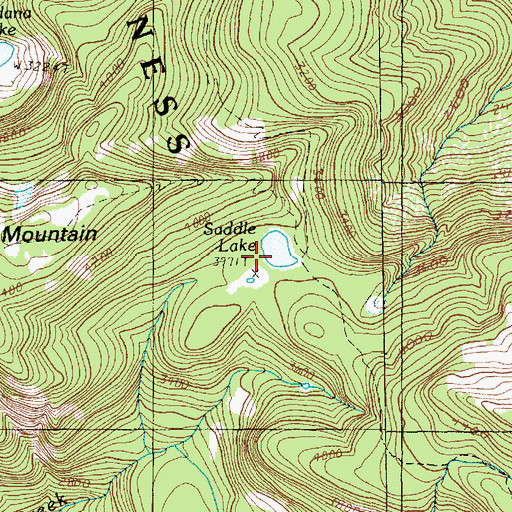 Topographic Map of Saddle Lake, WA