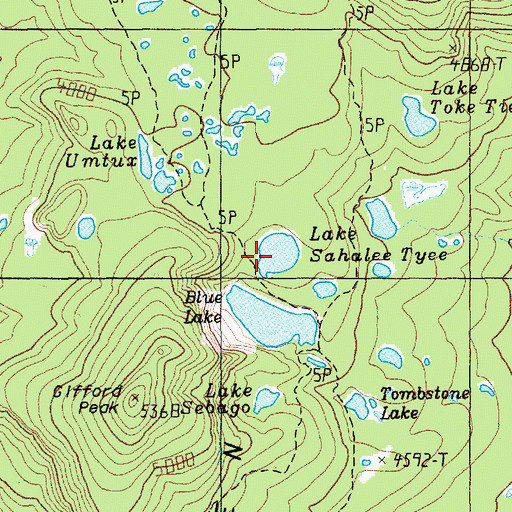 Topographic Map of Lake Sahalee Tyee, WA
