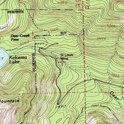 Topographic Map of Saint Louis Mine, WA