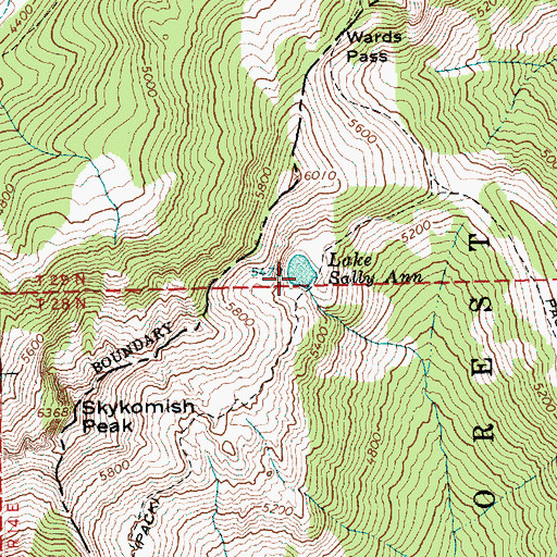 Topographic Map of Lake Sally Ann, WA