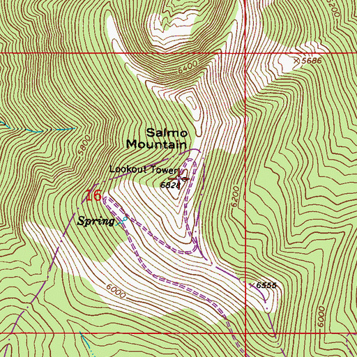 Topographic Map of Salmo Mountain, WA