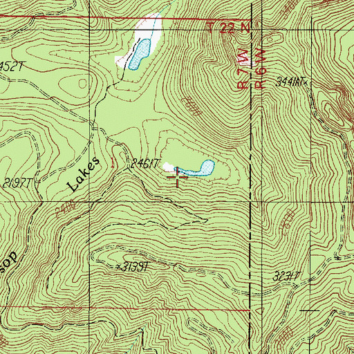 Topographic Map of Satsop Lakes, WA