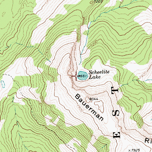 Topographic Map of Scheelite Lake, WA