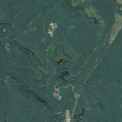 Aerial/Satellite Image of Second Lake, WA