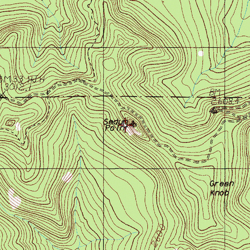 Topographic Map of Sedum Point, WA