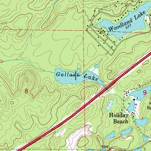 Topographic Map of Gallant Lake, AL