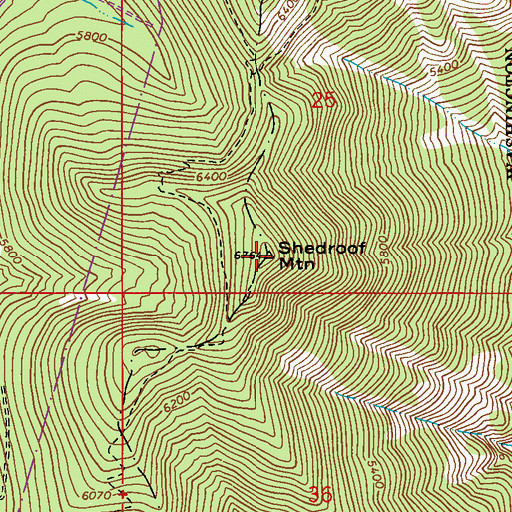 Topographic Map of Shedroof Mountain, WA
