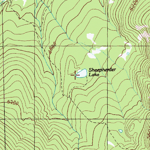 Topographic Map of Sheepherder Lake, WA