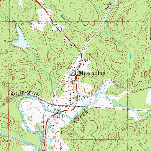 Topographic Map of Muscadine, AL