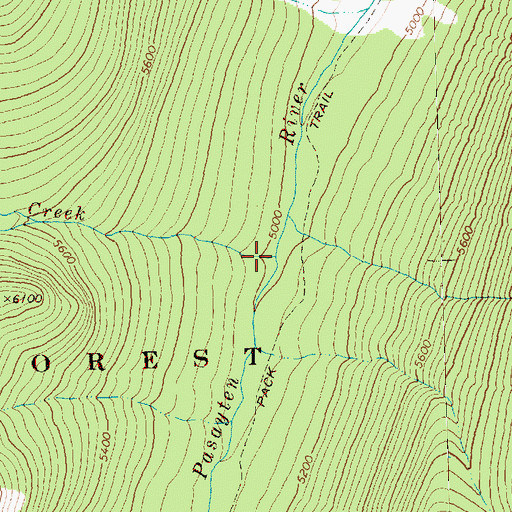Topographic Map of Silver Creek, WA