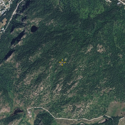 Aerial/Satellite Image of Silver Crown Mountain, WA