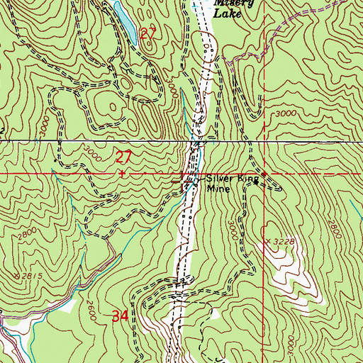 Topographic Map of Silver King Mine, WA