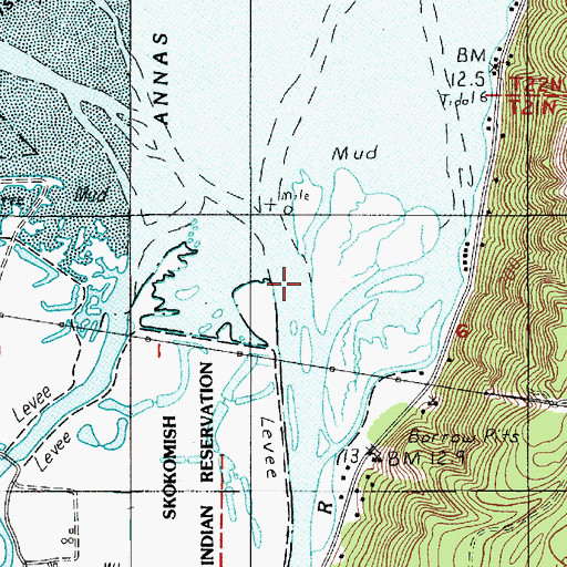 Topographic Map of Skokomish River, WA